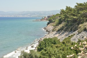 2012 SUMMER